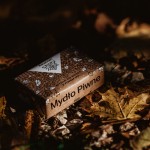 RareCraft-mydlo-do-brody-Piwne-11.jpg