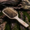 brush-jasna.jpg