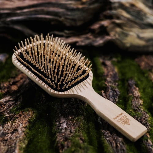 brush-jasna.jpg
