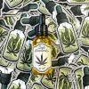Olejek-do-brody---Ziele-Kanclerskie---Kanclerski---30ml.webp