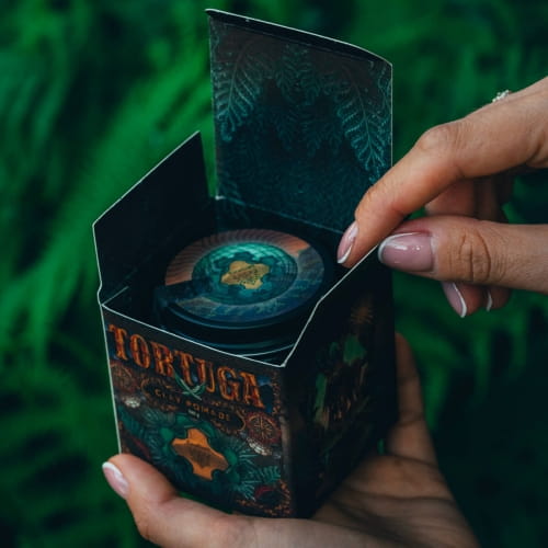 RareCraft Matowa glinka do włosów Tortuga Oil Based Clay Pomade 100g.jpg