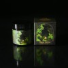 balsam beard balm plague doctor.jpg