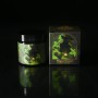 balsam beard balm plague doctor.jpg