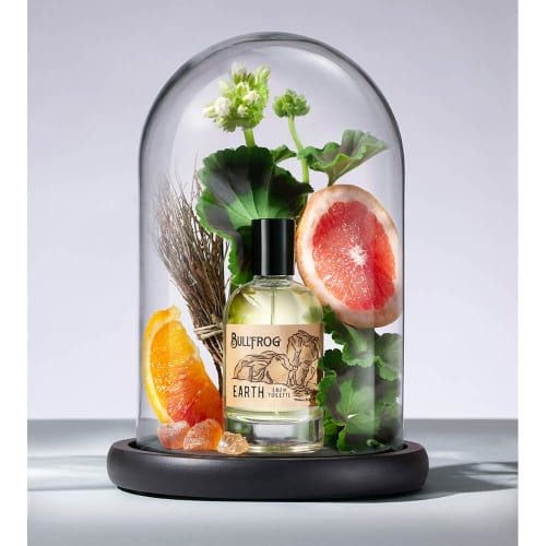 Bullfrog Eau de Toilette Elements Earth Woda toaletowa 100ml.jpg