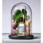 Bullfrog Eau de Toilette Elements Air Woda toaletowa 100ml.jpg