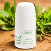 Ziaja Liście Zielonej Oliwki Oliwkowy dezodorant w kulce bez soli glinu 60ml.webp.jpeg
