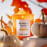 Mydłostacja Świeca sojowa DYNIO-wa TARTA 180g.jpg