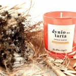 Mydłostacja Świeca sojowa DYNIO-wa TARTA 180.jpg