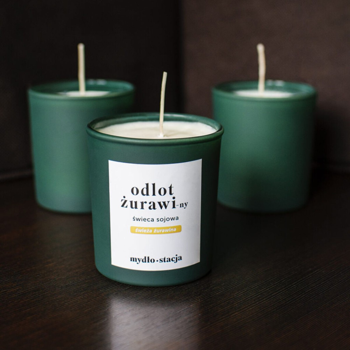 Mydłostacja Świeca sojowa ODLOT ŻURAWI-ny 150g.jpg