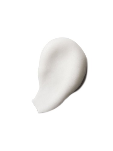 TEXTURE029_TECHSERIESTEXTUREFOAM_1024x1024